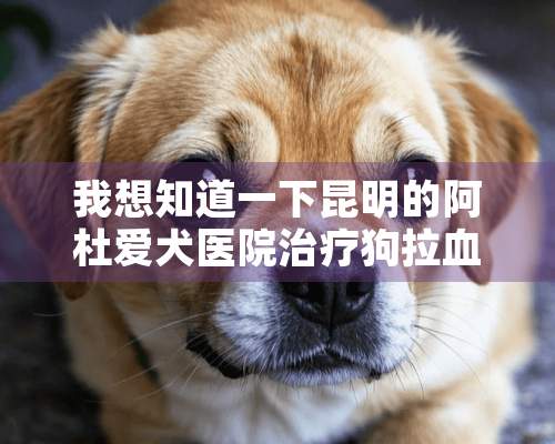 我想知道一下昆明的阿杜爱犬医院治疗狗拉血的病好吗？？