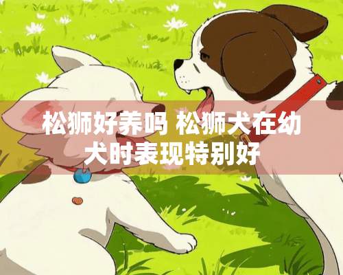 松狮好养吗 松狮犬在幼犬时表现特别好