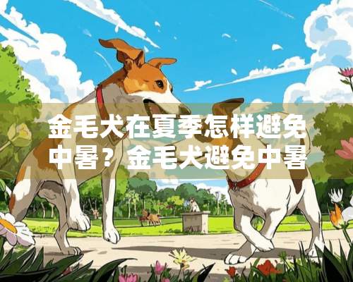 金毛犬在夏季怎样避免中暑？金毛犬避免中暑的小妙招！