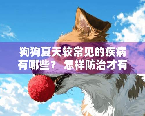 狗狗夏天较常见的疾病有哪些？ 怎样防治才有效？