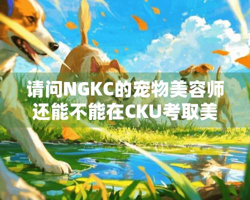 请问NGKC的宠物美容师还能不能在CKU考取美容师证书？