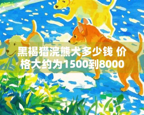 黑褐猎浣熊犬多少钱 价格大约为1500到8000元