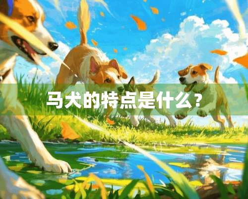 马犬的特点是什么？