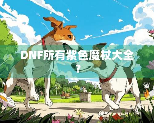 DNF所有紫**杖大全？