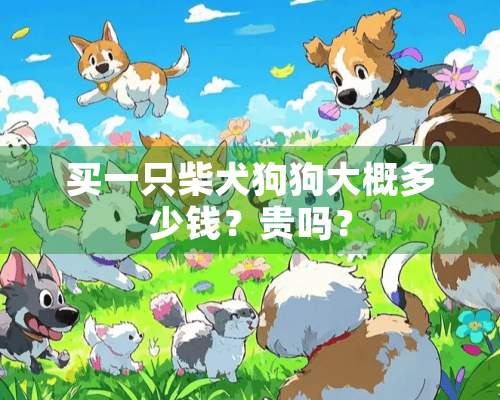 买一只柴犬狗狗大概多少钱？贵吗？