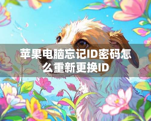 苹果电脑忘记ID密码怎么重新更换ID