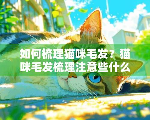 如何梳理猫咪毛发？猫咪毛发梳理注意些什么呢