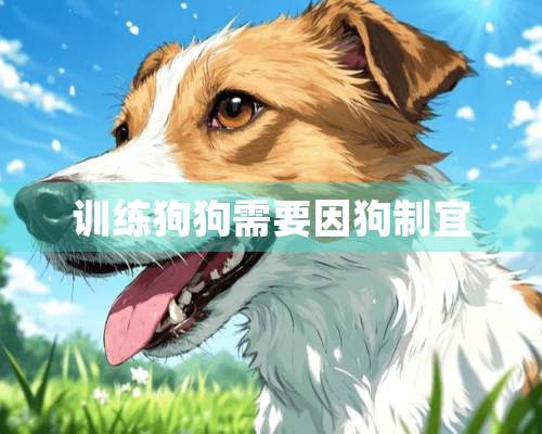 训练狗狗需要因狗制宜