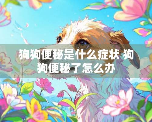 狗狗便秘是什么症状 狗狗便秘了怎么办