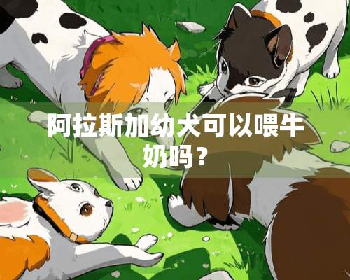 阿拉斯加幼犬可以喂牛奶吗？