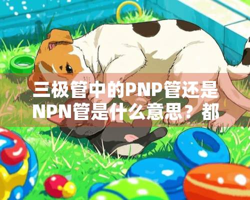 三极管中的PNP管还是NPN管是什么意思？都分别起什么作用