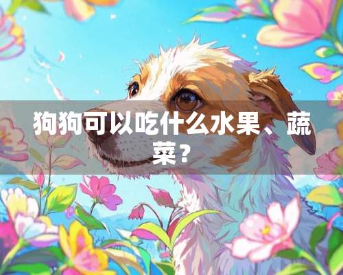 狗狗可以吃什么水果、蔬菜？