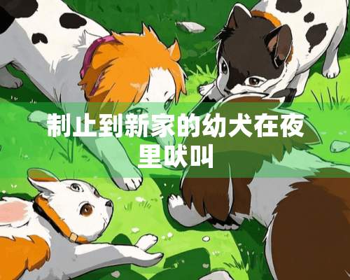 制止到新家的幼犬在夜里吠叫