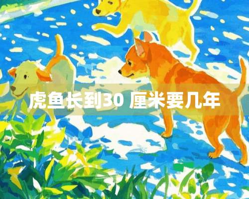 虎鱼长到30 厘米要几年