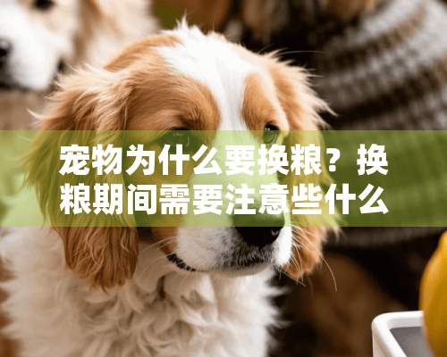 宠物为什么要换粮？换粮期间需要注意些什么？