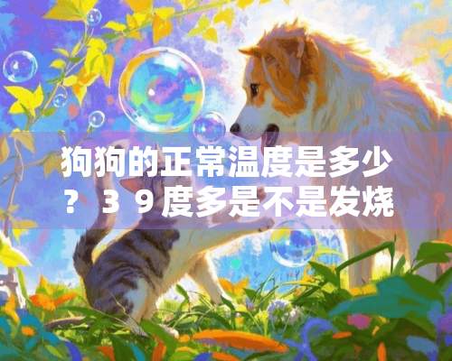 狗狗的正常温度是多少？３９度多是不是发烧？