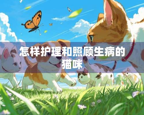 怎样护理和照顾生病的猫咪