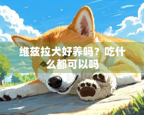 维兹拉犬好养吗？吃什么都可以吗