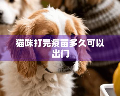 猫咪打完疫苗多久可以出门