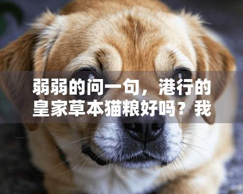 弱弱的问一句，港行的皇家草本猫粮好吗？我买了元...