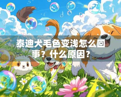 泰迪犬毛色变浅怎么回事？什么原因？