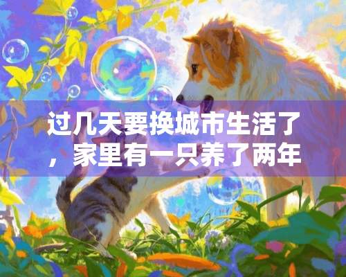 过几天要换城市生活了，家里有一只养了两年的宠物猫，舍不得抛弃它，想把猫咪带着一起搬家，要问下长途带