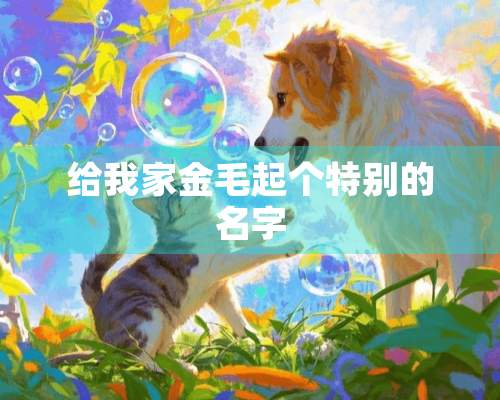 给我家金毛起个特别的名字