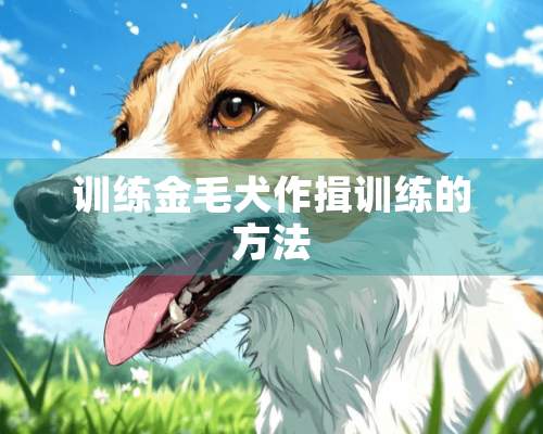 训练金毛犬作揖训练的方法