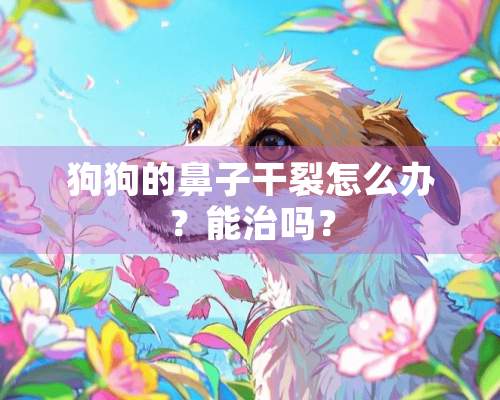 狗狗的鼻子干裂怎么办？能治吗？