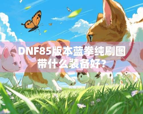 DNF85版本蓝拳纯刷图带什么装备好？