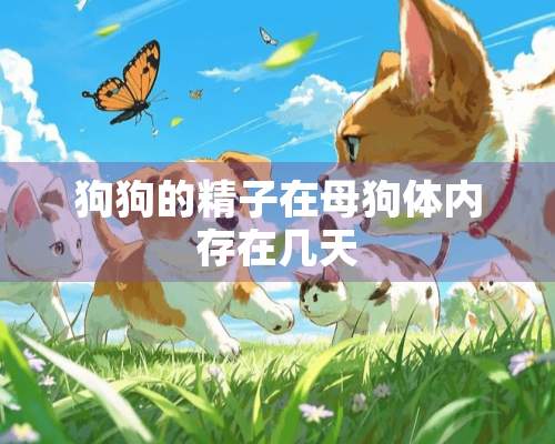 狗狗的精子在母狗体内存在几天