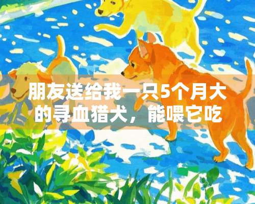 朋友送给我一只5个月大的寻血猎犬，能喂它吃皇家A3吗？