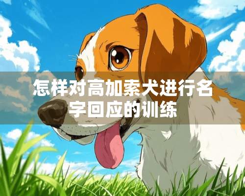 怎样对高加索犬进行名字回应的训练