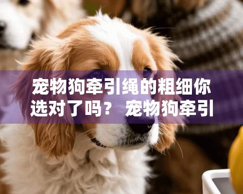 宠物狗牵引绳的粗细你选对了吗？ 宠物狗牵引绳的重要性!