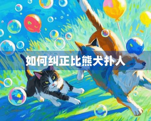 如何纠正比熊犬扑人