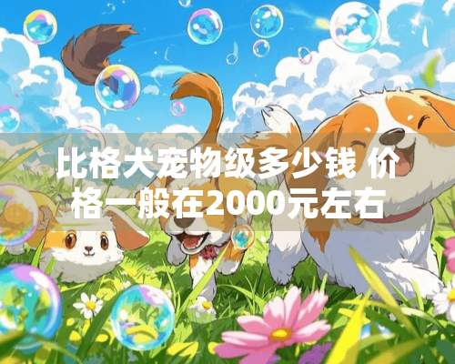 比格犬宠物级多少钱 价格一般在2000元左右