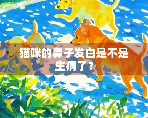 猫咪的鼻子发白是不是生病了？