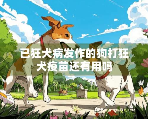 已狂犬病发作的狗打狂犬疫苗还有用吗