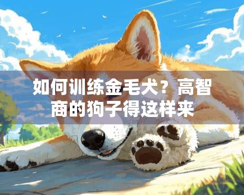 如何训练金毛犬？高智商的狗子得这样来