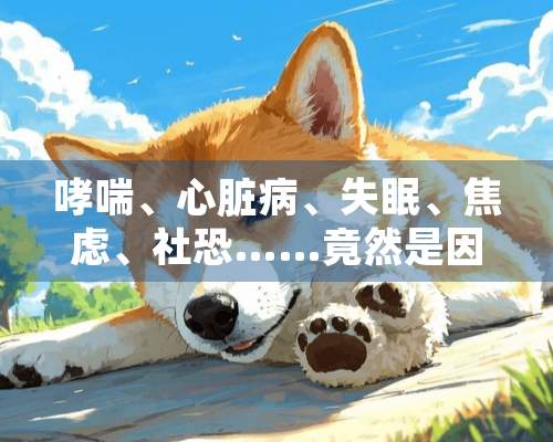 哮喘、心脏病、失眠、焦虑、社恐……竟然是因为你没有养宠？！