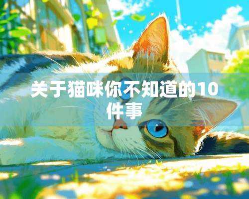 关于猫咪你不知道的10件事