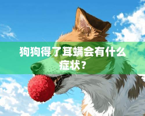 狗狗得了耳螨会有什么症状？