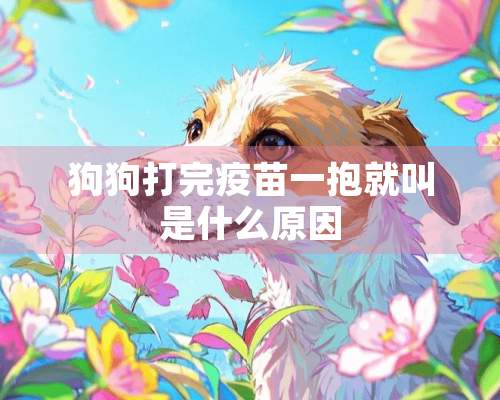 狗狗打完疫苗一抱就叫是什么原因