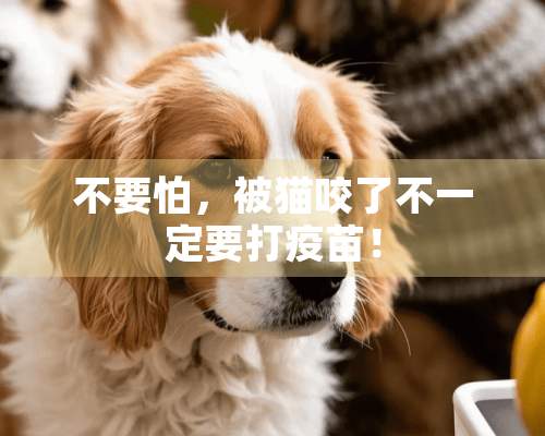 不要怕，被猫咬了不一定要打**！