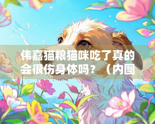 伟嘉猫粮猫咪吃了真的会很伤身体吗？（内图）