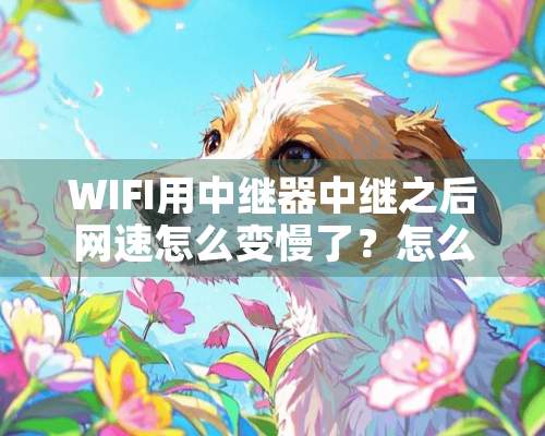 WIFI用中继器中继之后网速怎么变慢了？怎么为才能变快