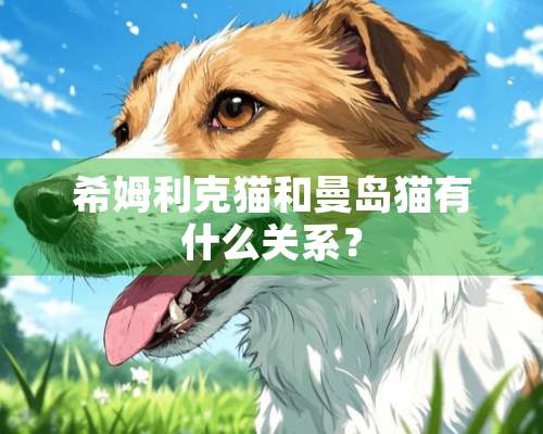 希姆利克猫和曼岛猫有什么关系？