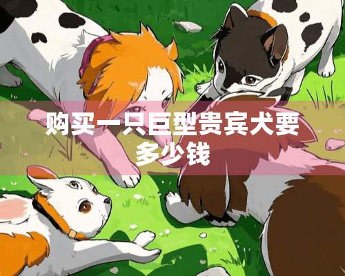 购买一只巨型贵宾犬要多少钱