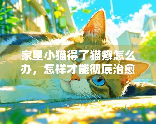 家里小猫得了猫癣怎么办，怎样才能彻底治愈猫咪身上的猫癣