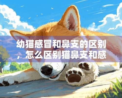 幼猫感冒和鼻支的区别，怎么区别猫鼻支和感冒